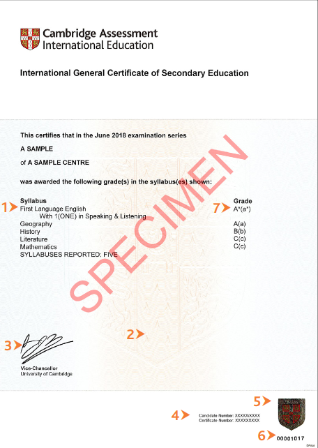 A Sample of an IGCSE Certificate